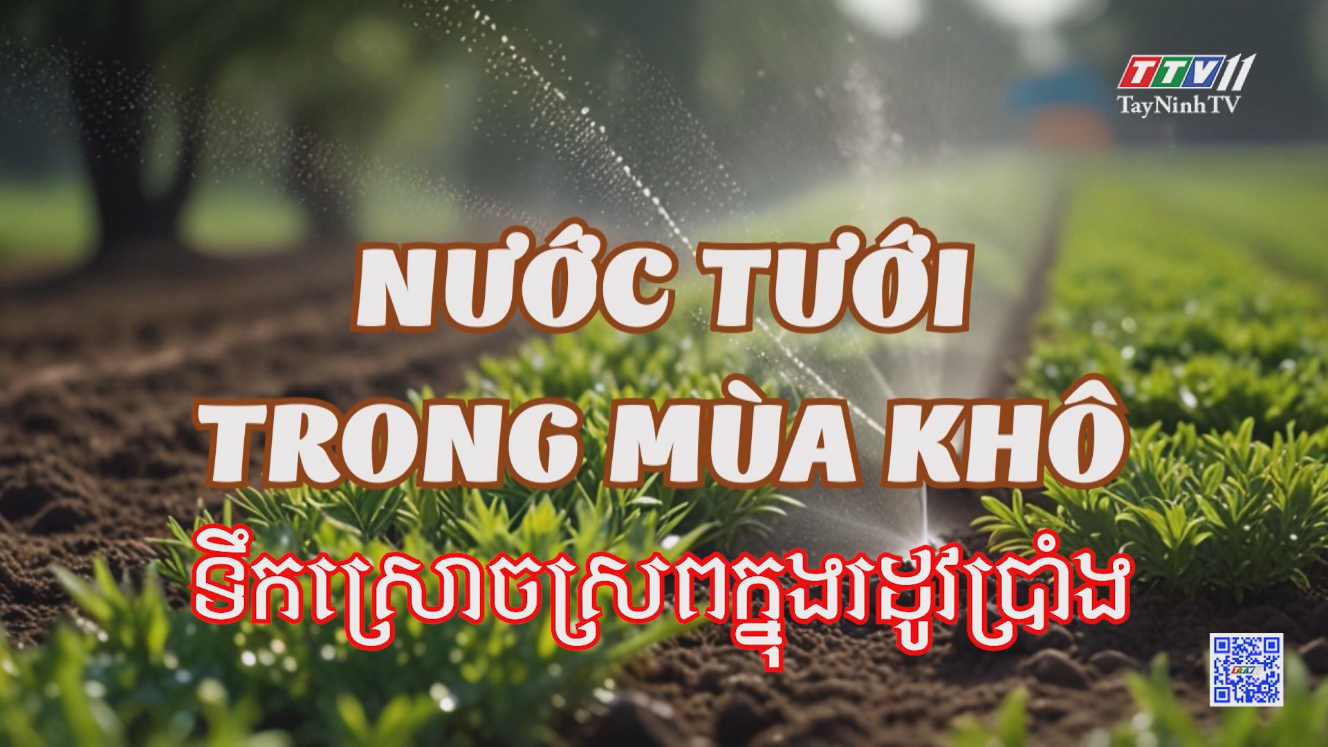 Nước tưới trong mùa khô | NÔNG NGHIỆP TÂY NINH | TayNinhTV